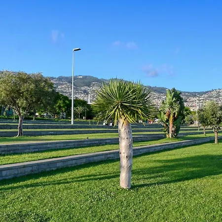Colombo Square, A In Madeira *